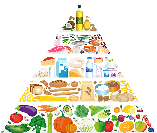 Ghid alimentar zilnic. Ce inseamna o portie?