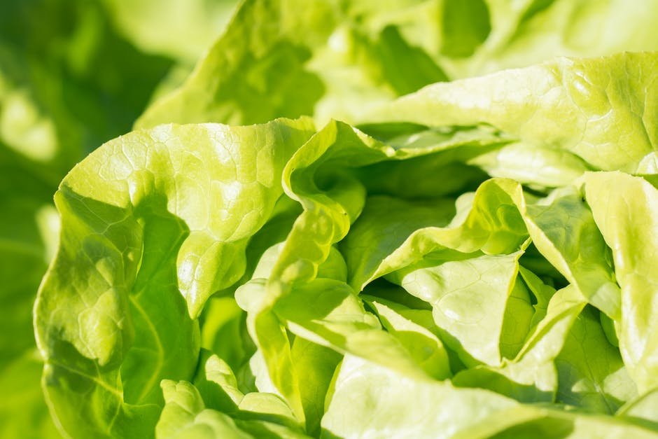 3 motive ca sa mananci salata verde in fiecare zi
