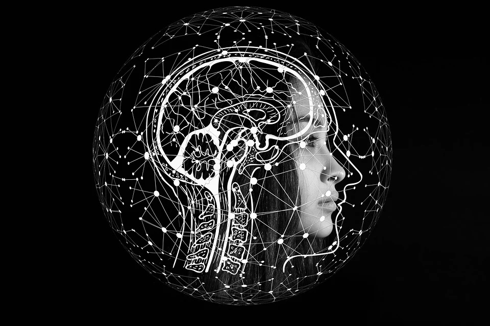Care sunt cele mai bune suplimente alimentare pentru memorie si concentrare?