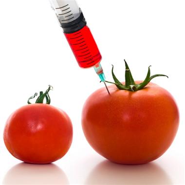 Atentie la alimente modificate genetic