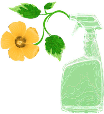 5 produse de curatat non-toxice care ar trebui sa fie in orice casa