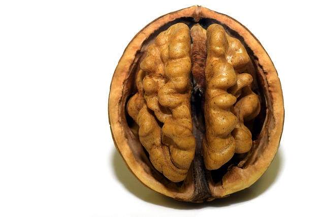 5 alimente exceptionale pentru creier