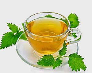 Ceaiul de urzica: beneficii incontestabile pentru organism