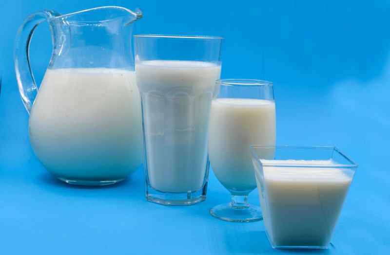 5 tipuri populare de lapte si beneficiile lor: vaca, oaie, capra, bivolita si magarita