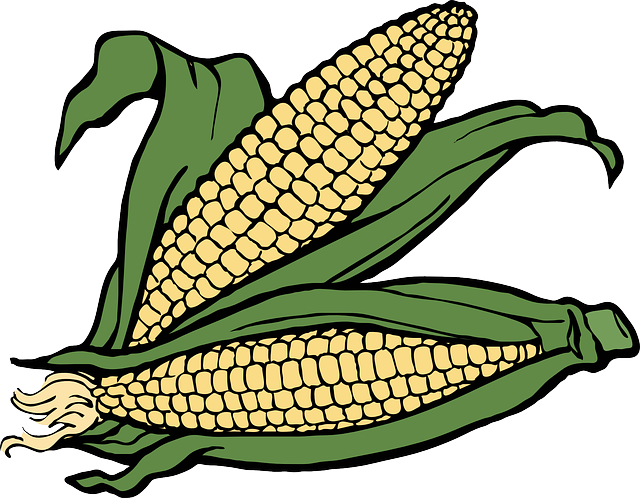 Porumbul fiert. De ce este bine sa il consumi chiar si cand esti la dieta