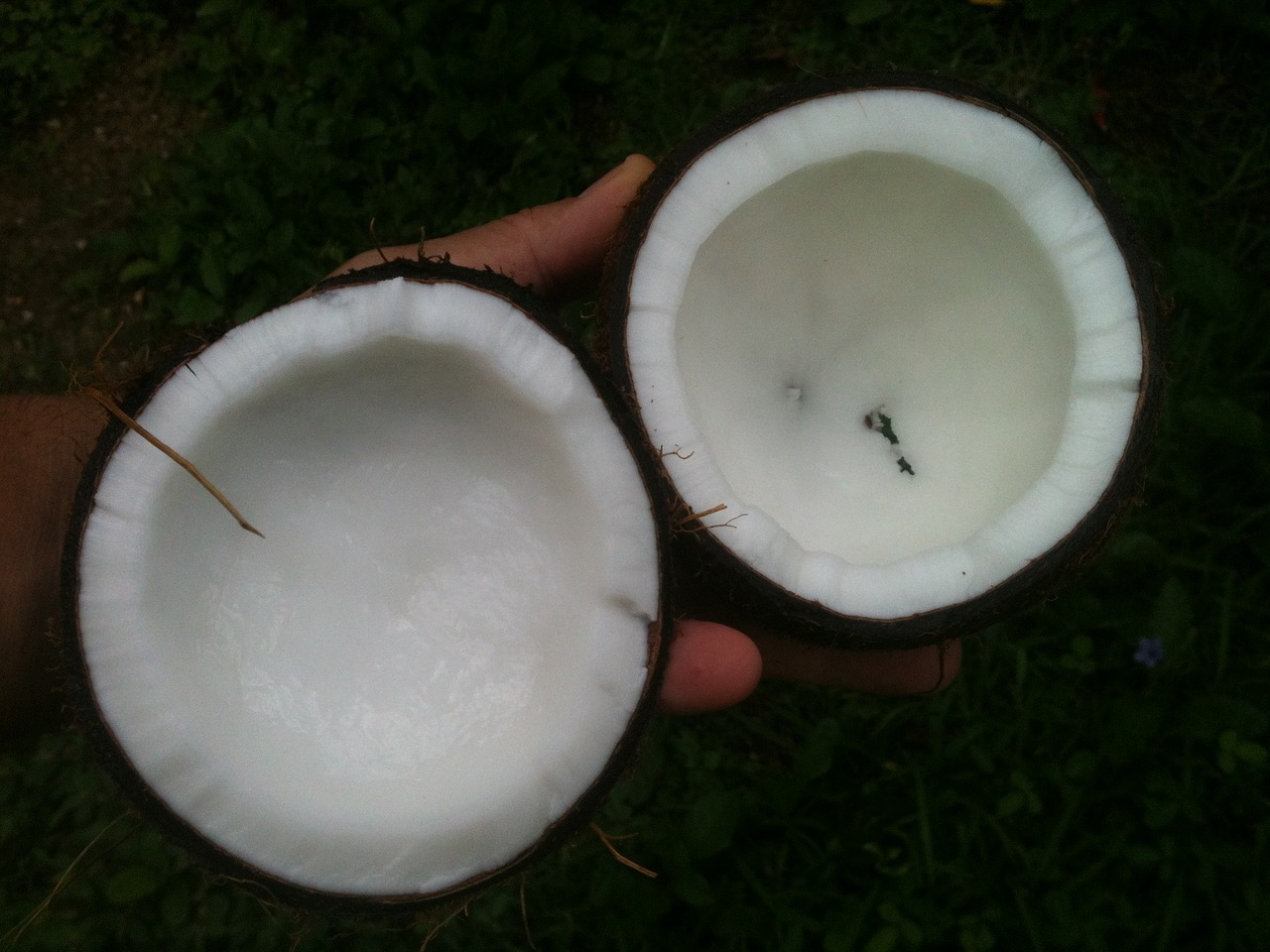 Foloseste ulei de cocos pentru ingrijirea pielii si a parului