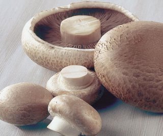 Beneficiile ciupercilor
