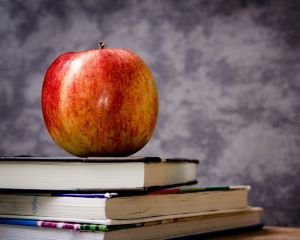 Greselile de nutritie si consecintele lor in randul elevilor