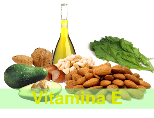 Vitamina E elixirul tineretii