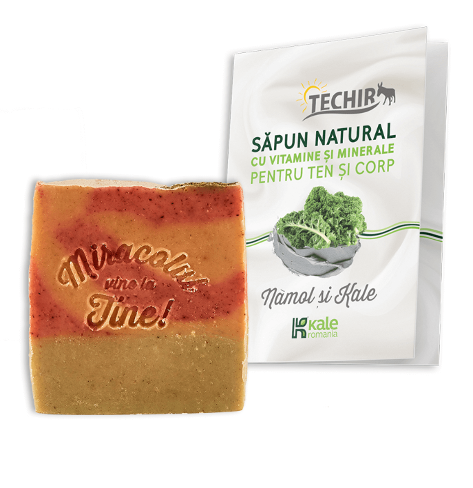 Techir - Sapun natural cu pudra de Kale si namol