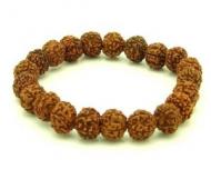 Rudraksha, bratara indiana care iti schimba destinul