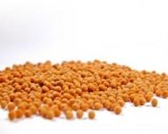 Mustarul: beneficii de care nu stiai