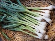 Beneficiile dovedite ale usturoiului verde pentru organism