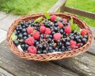 9 motive pentru care este bine sa consumi coacaze