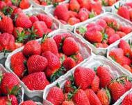 Lipsa acestor nutrienti favorizeaza aparitia migrenelor