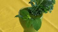 Smoothie cu banane si broccoli - Cum se prepara