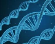 Diagnosticul timpuriu si terapiile inovatoare pot transforma unele cancere de sange in boli cronice