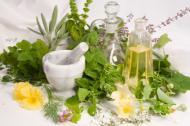 Principii active prezente in plantele medicinale