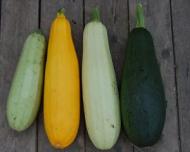 Cum sa faci chiftelute de dovlecei la cuptor