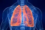 Sistemul respirator si alimentatia