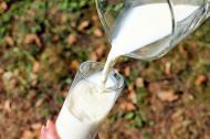 Consumul de lactate- riscant sau ideal pentru sanatate ?