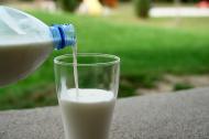 Alimente care contin calciu