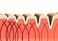 6 alimente care lupta impotriva imbatranirii