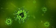4 ceaiuri impotriva infectiei urinare