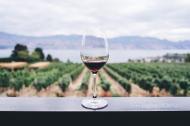 Beneficii surprinzatoare ale vinului rosu asupra sanatatii tale