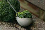 Reteta de paste cremoase cu broccoli