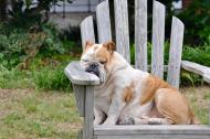 5 motive pentru care te simti obosit tot timpul