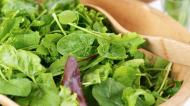 Cat de nutritiva este salata la punga?