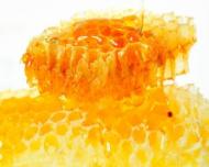 Ce afectiuni se trateaza cu propolis