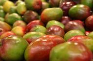 Mango - Cele mai importante beneficii pentru sanatate