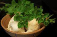 4 antibiotice puternice care nu necesita prescriptie medicala
