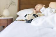 Cum sa dormi mai bine? 5 pasi simpli de urmat!