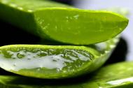 Masca cu aloe vera, cel mai bun truc pentru frumusete