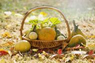 Super alimentele recomandate de nutritionisti in aceasta toamna